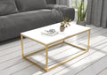 NARISA - Coffee Table 100*60*43 CT1974851 - Furnile
