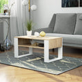 OLA - Coffee Table 92*50*45 CT1974855 - Furnile