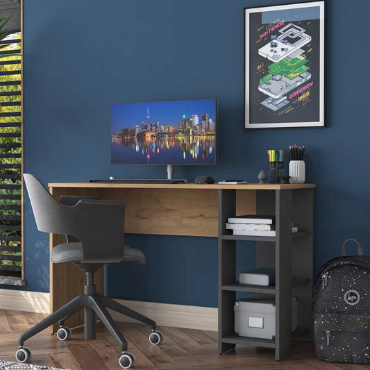 LEROY - Desk 120x45x75 DSK133511F-1