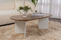 IVA - Coffee Table 119*60*40 CT029