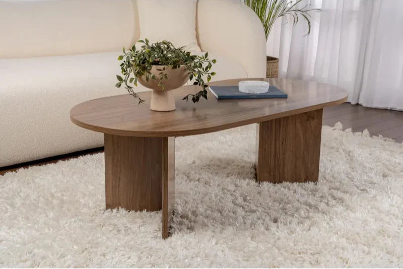 ANN - Coffee Table 119*60*40 CT030