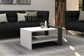 PAULINE - Coffee Table 80*50*35 CT047 - Furnile