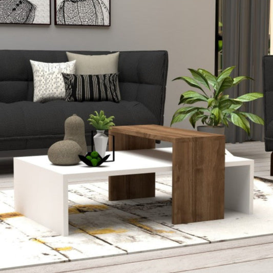 ANN - Coffee Table 80*50*31.8 CT053