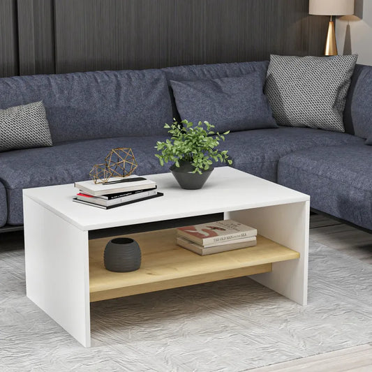 LOUISA - Coffee Table 90*45*46.8 CT059