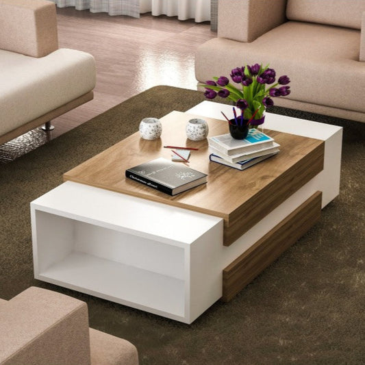 EVELYN - Coffee Table 110*57*31 CT062